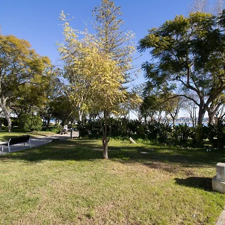 Daire Little Dream *